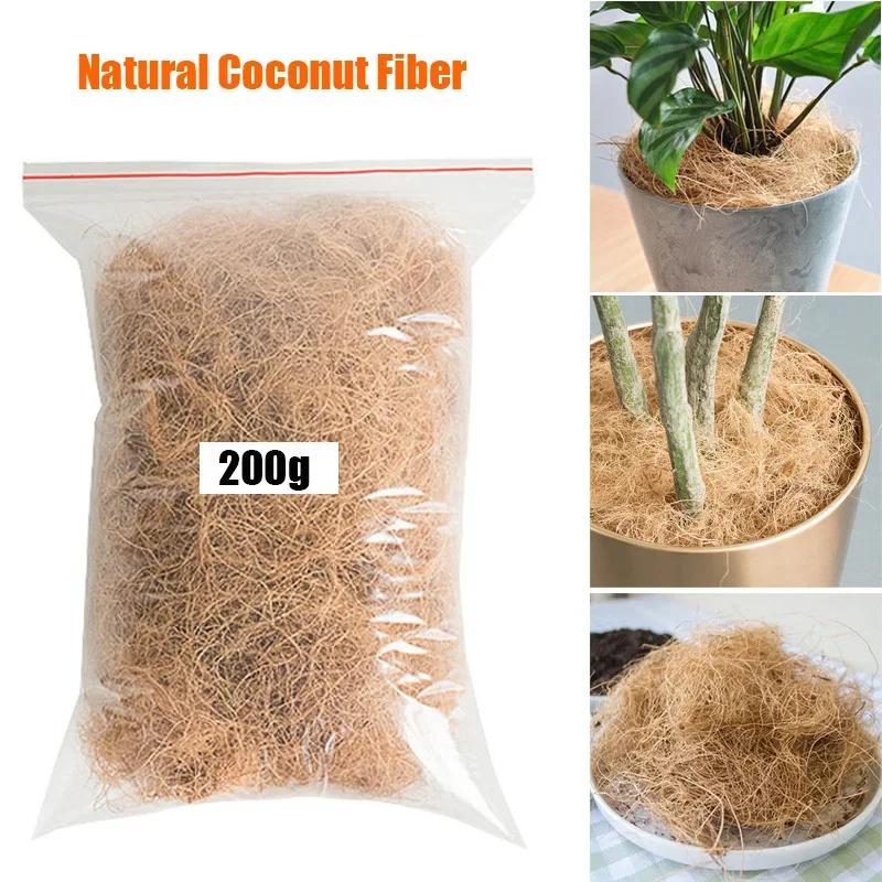 Tissue Culture Plant - 천연 코코넛 껍질 섬유 화분 커버