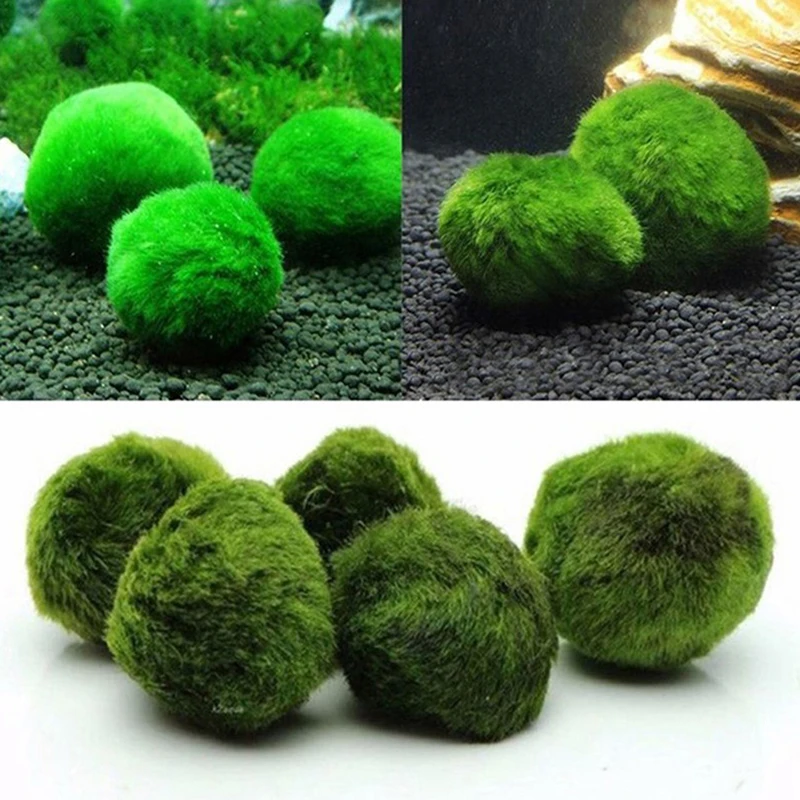 Aquarium Planted Tank Substrate - 1개 3-4cm 이끼 공 생물 수족관