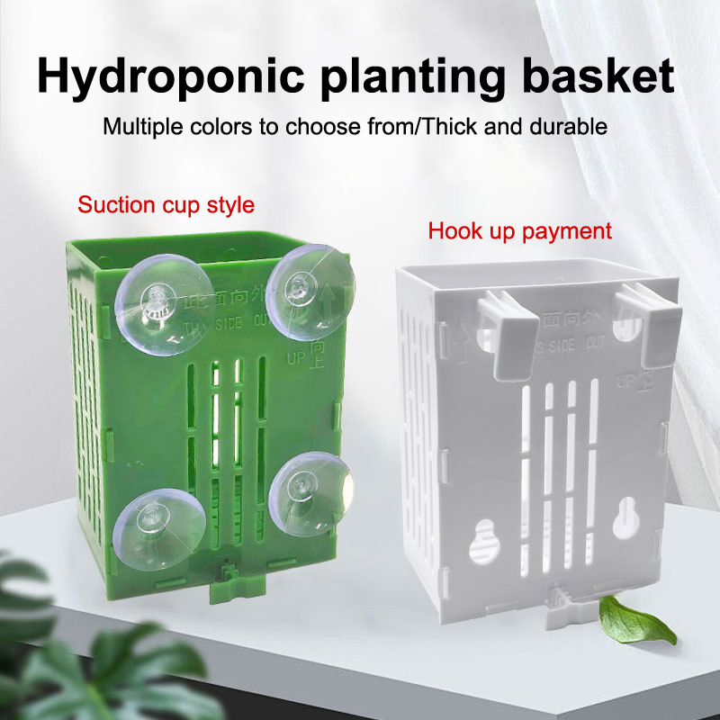 Aquarium Plant Holder - 행잉 흡입 컵 후크 수족관 식물