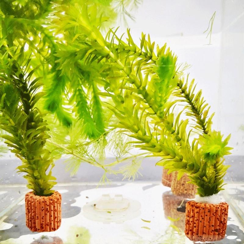 Emersed Plants Aquarium - 식물 Aquaponic 식물 재배를 위한 QX2E