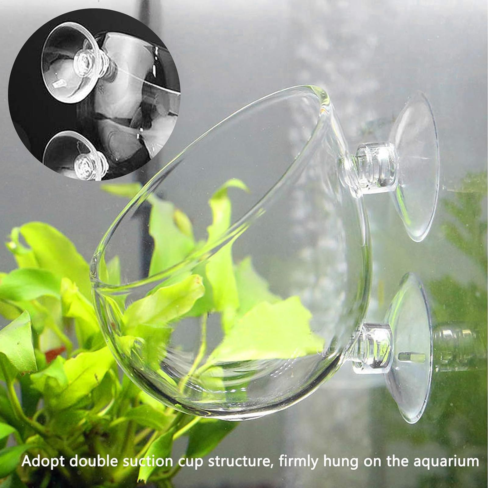 Aquarium Planted Tank Substrate - 수족관 유리 화분 흡착판 포함 생물