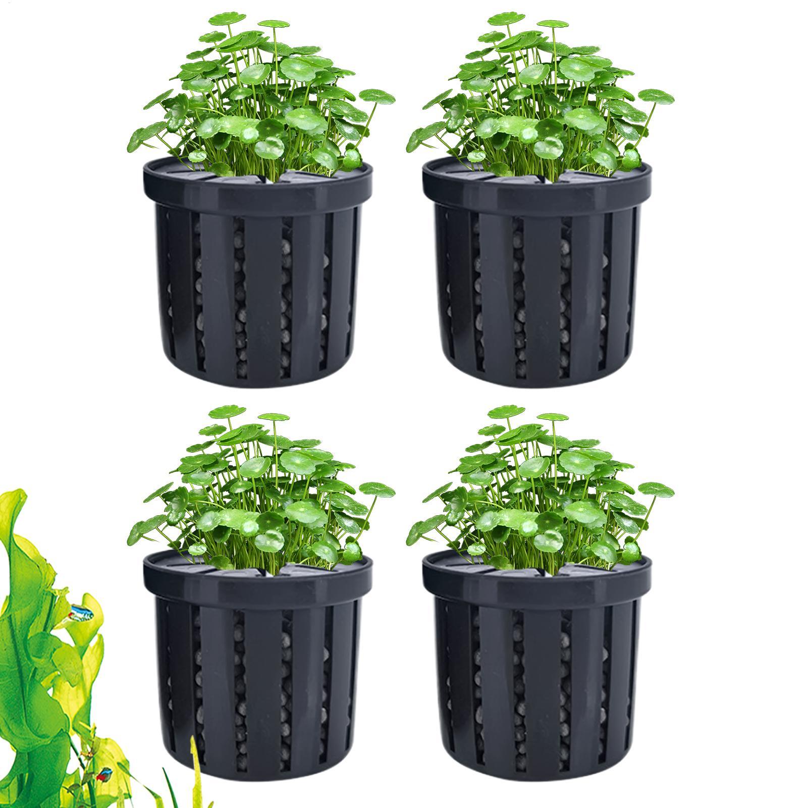 Aquarium Plant Holder - 4개의 수족관 화분, 스펀지 흡착판 포함,
