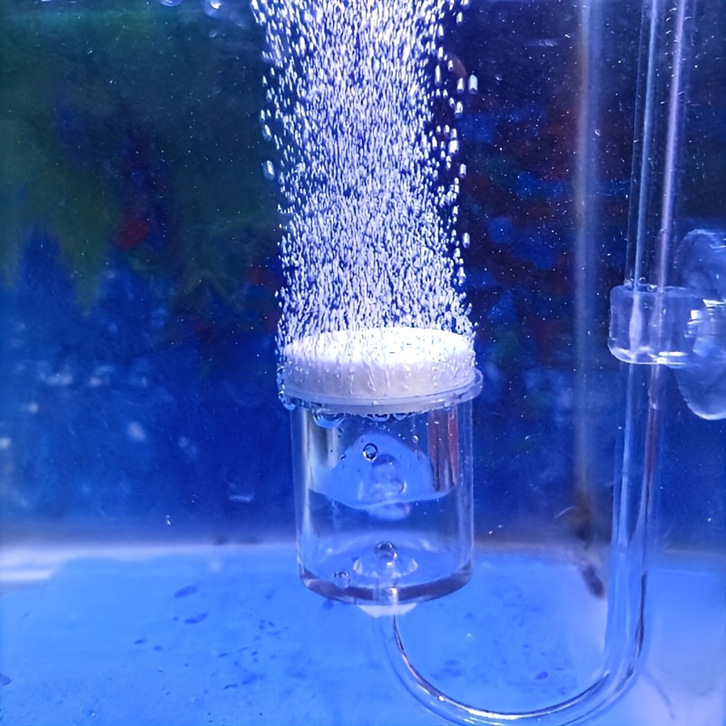 Aquarium Planting Ideas - 수족관 유리 CO2 무화기 디퓨저 버블