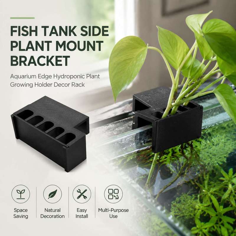 Aquarium Plant Holder - 어항 측면 식물 거치대 수경재배 홀더