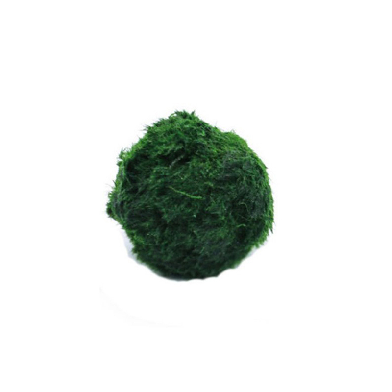 Aquarium Planted Tank Substrate - 마리모 이끼 공 생물 수족관 식물