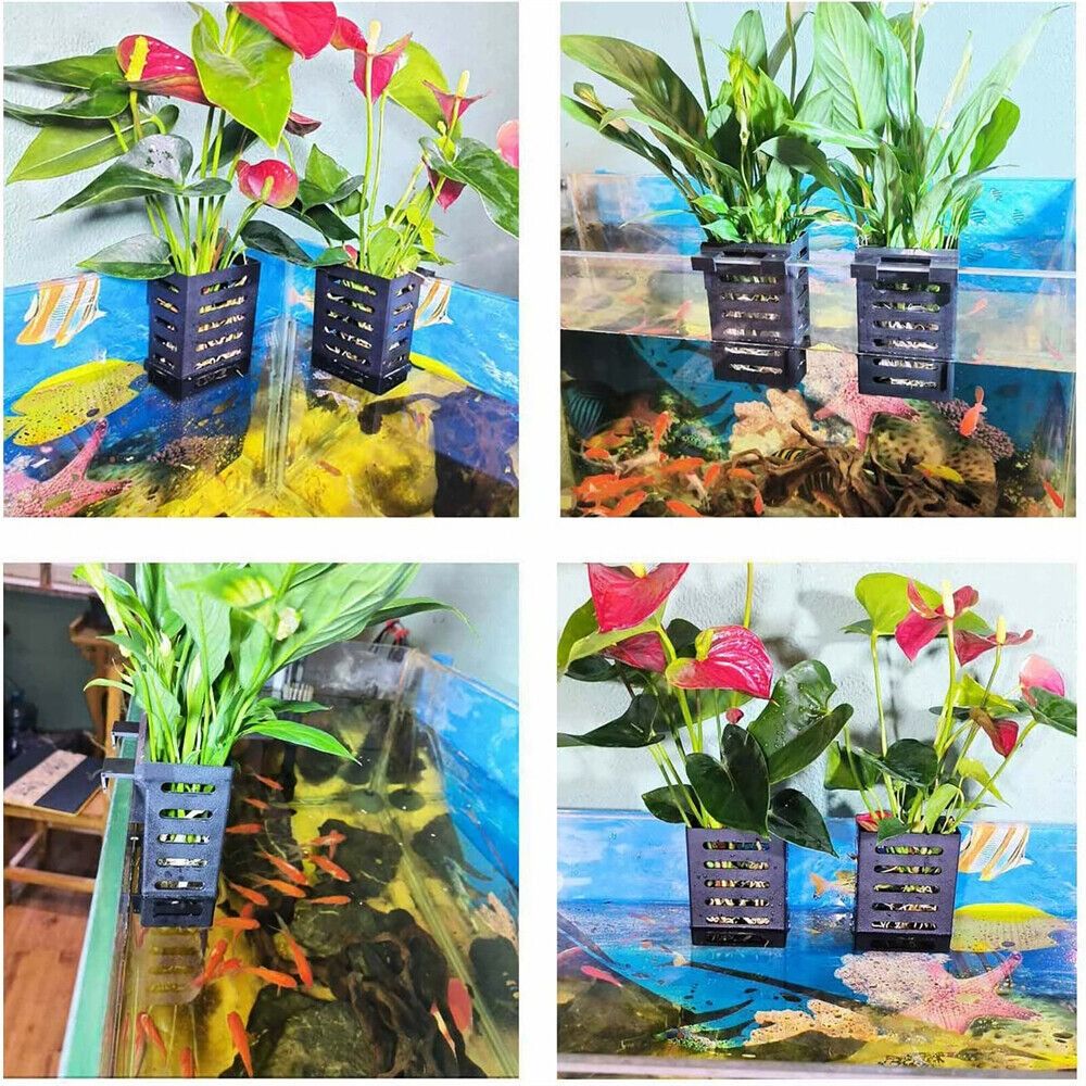 Emersed Plants Aquarium - 수초 어항 식물 홀더 수경재배 식물