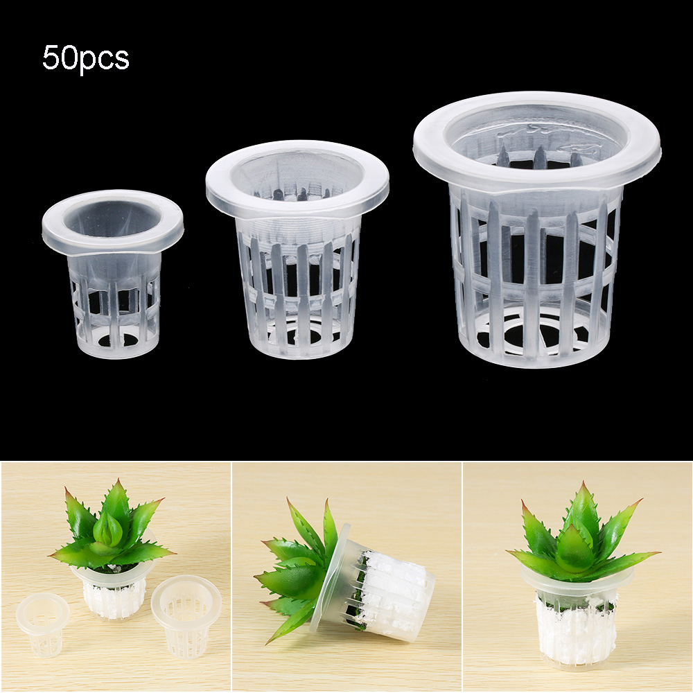 Aquarium Plant Seeds - 10/50개 정원 용품 수족관 식물 재배