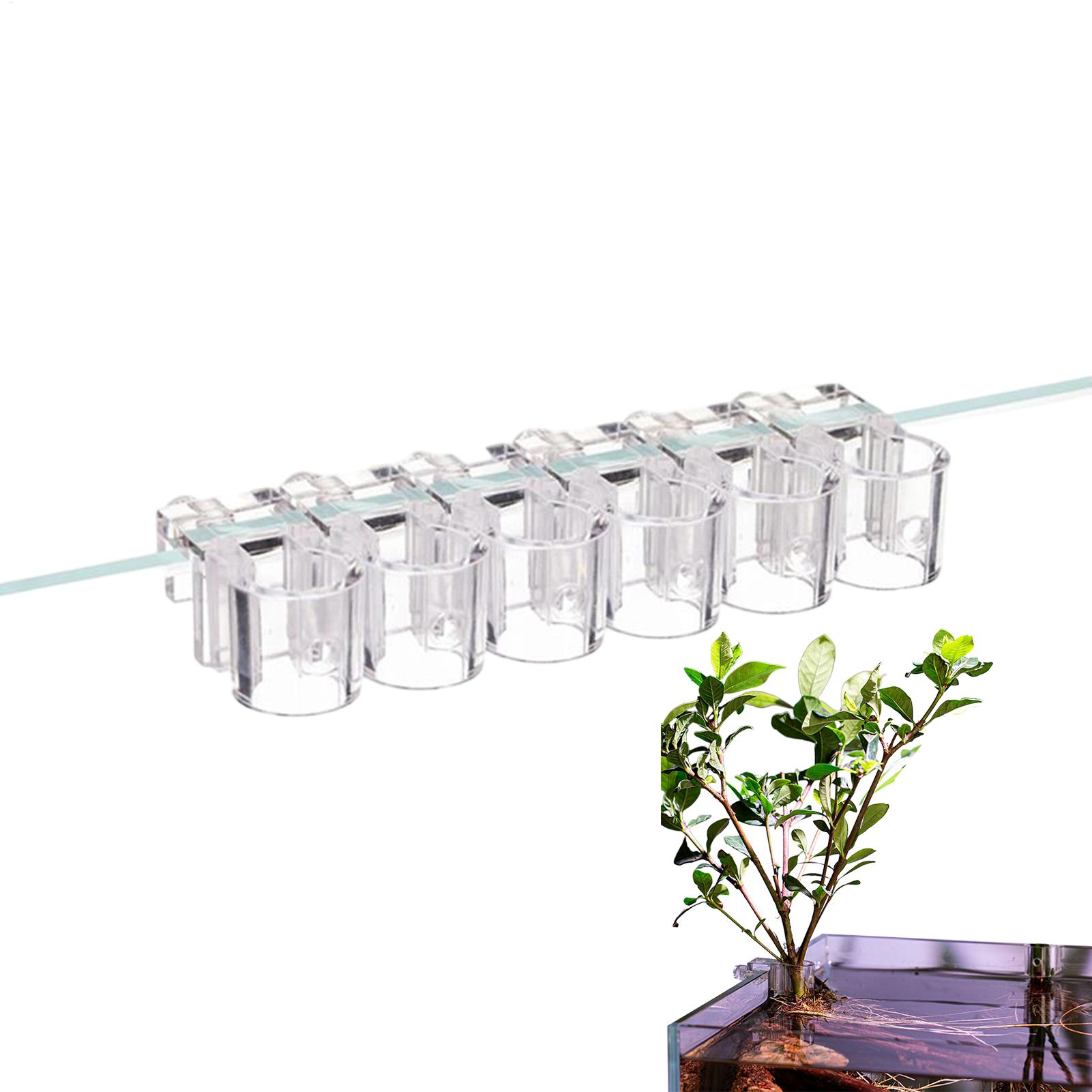 Aquarium Plant Holder - 수족관 식물 바구니 투명 어항 걸이