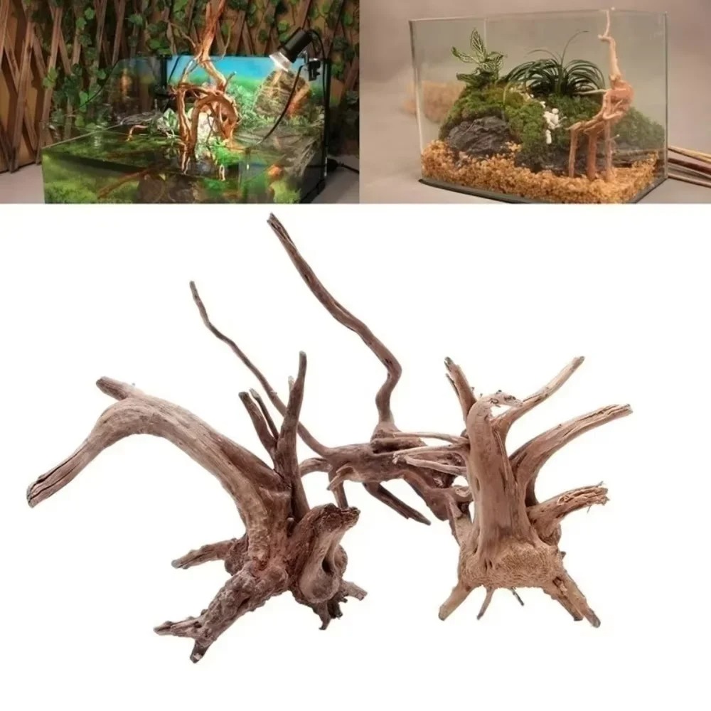 Aquarium Planting Ideas - 15-20CM 천연 유목 수족관 장식 -