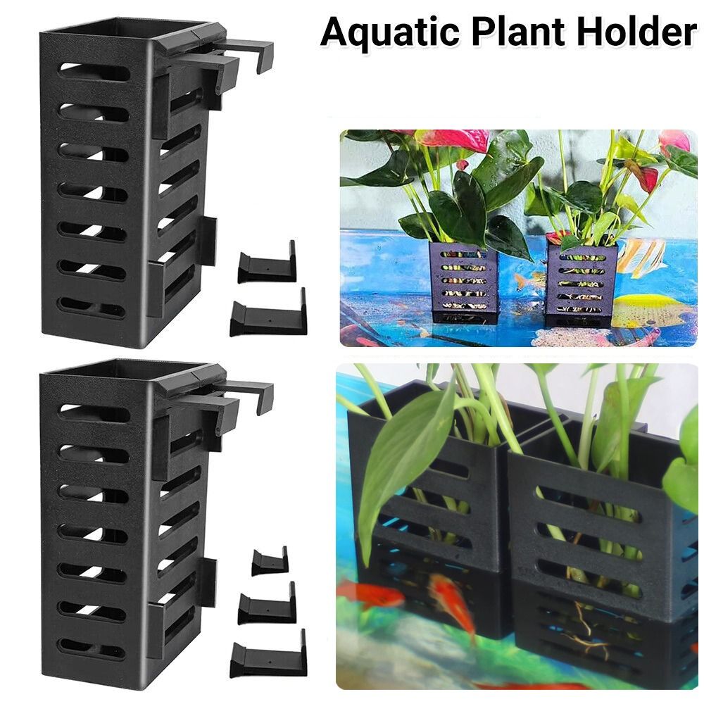 Emersed Plants Aquarium - 수경 수족관 식물 거치대, 수경 식물