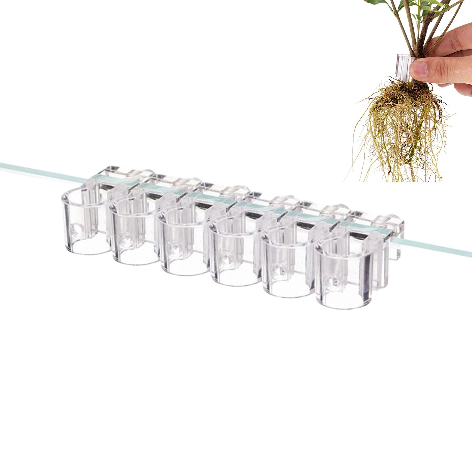 Aquarium Plant Holder - 수족관용 식물 홀더 6개 투명 식물