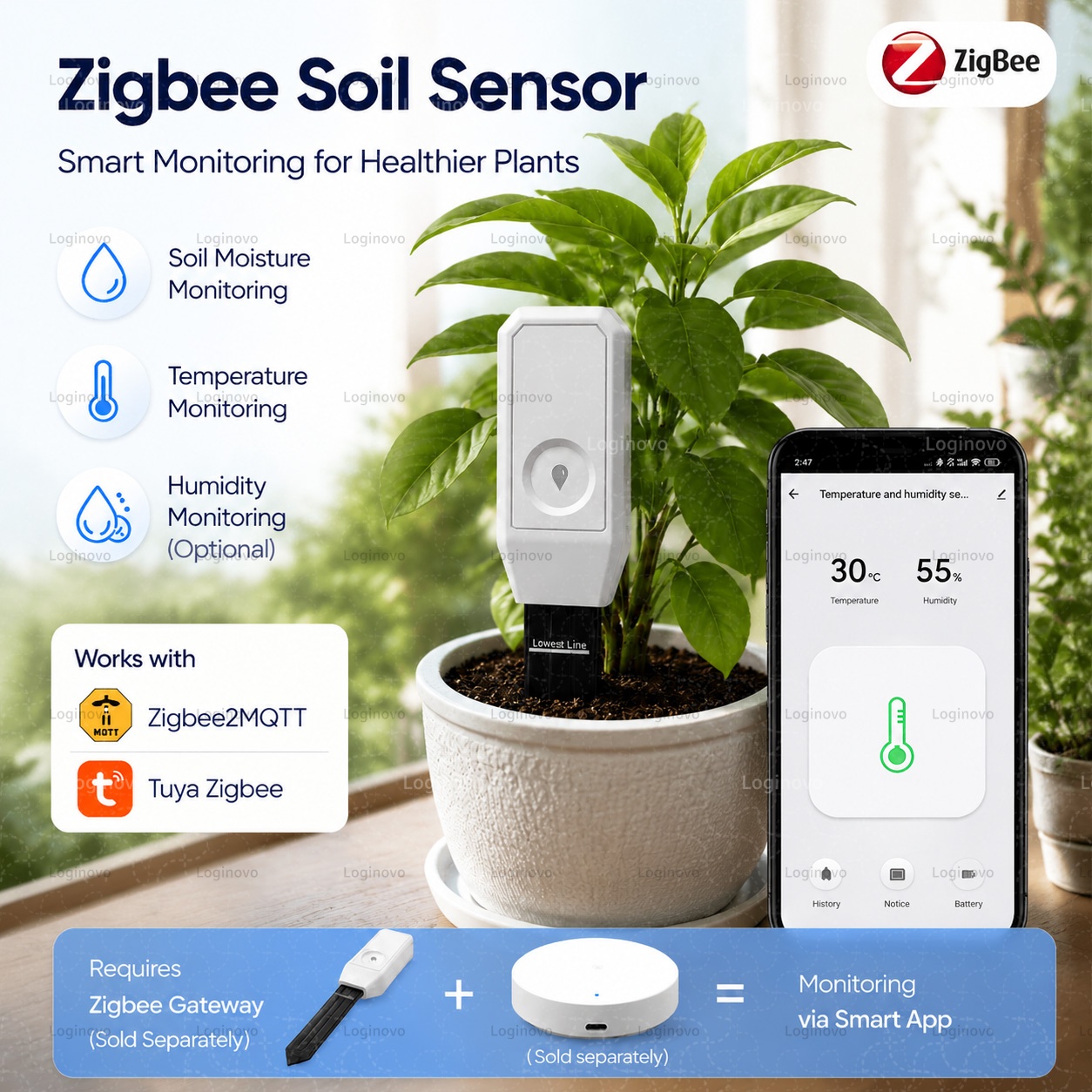 Tissue Culture Plant - Tuya Zigbee 토양 수분 테스터 온도