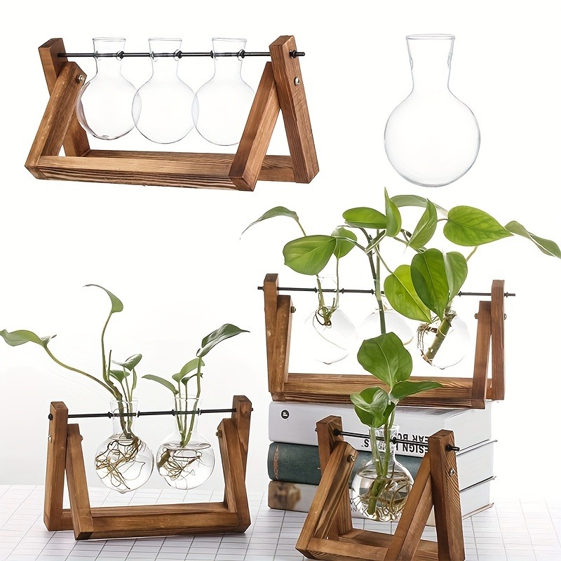 Tissue Culture Plant - 탁상 유리 화분 전파 스테이션, 수경