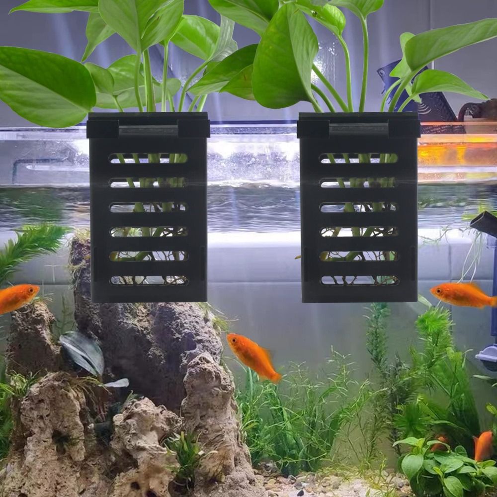 수생 식물 조경 수족관 식물 거치대 수경 재배 탱크,  - Emersed Plants Aquarium 리뷰 및 가격