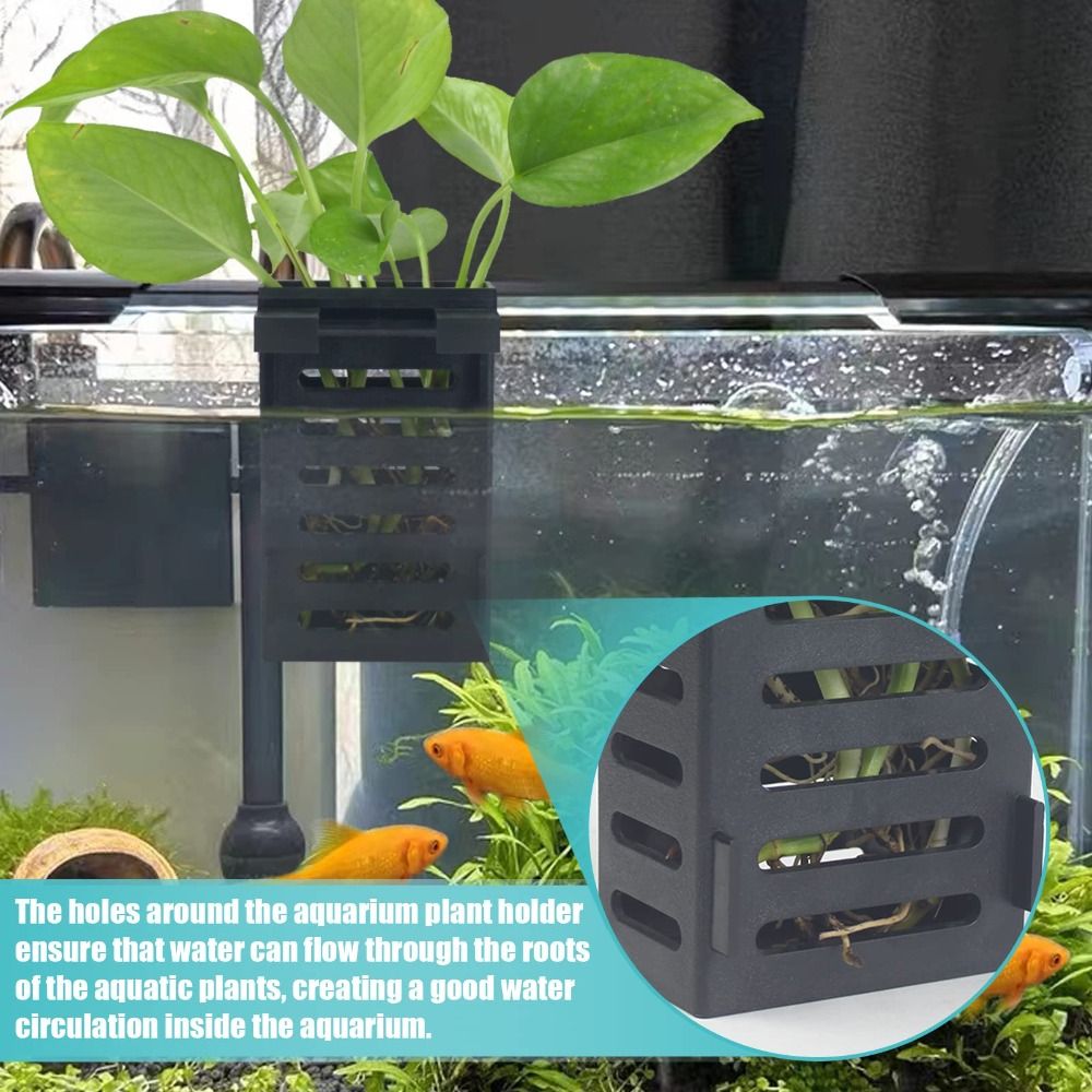 후크가 달린 수족관 어항 식물 거치대, 수생 식물 재배 - Emersed Plants Aquarium 리뷰 및 가격