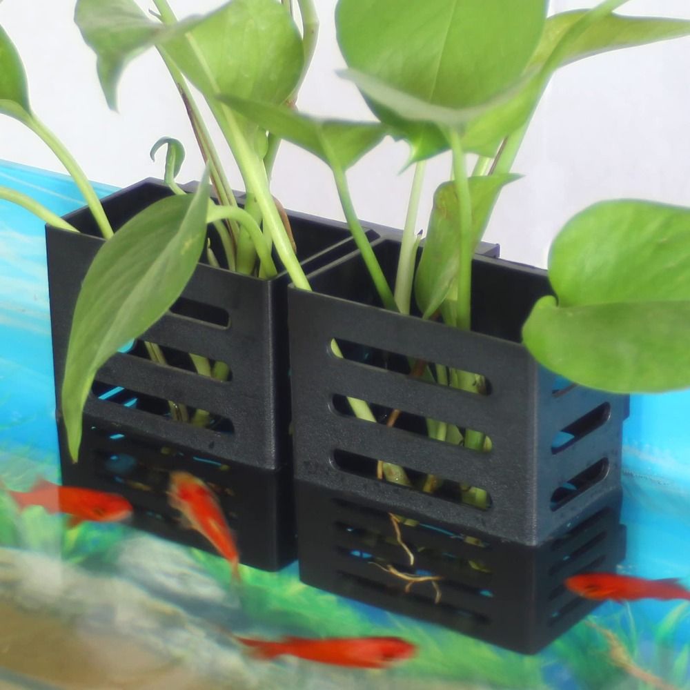 수초 화분 수족관 식물 홀더 수경재배 유리 화분 수중식 - Emersed Plants Aquarium 리뷰 및 가격
