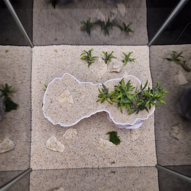 아쿠아리움 3D 프린팅 식물 재배 바구니 수경 재배 지 - Aquarium Planted Tank Soil 리뷰 및 가격