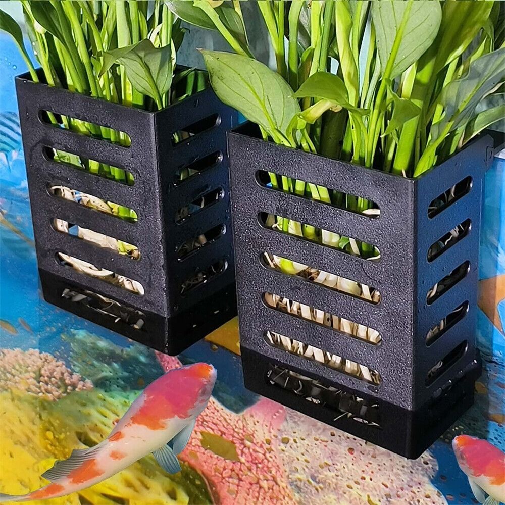 수초 어항 식물 홀더 수경 유리 화분 수상 식물 보관  - Emersed Plants Aquarium 리뷰 및 가격
