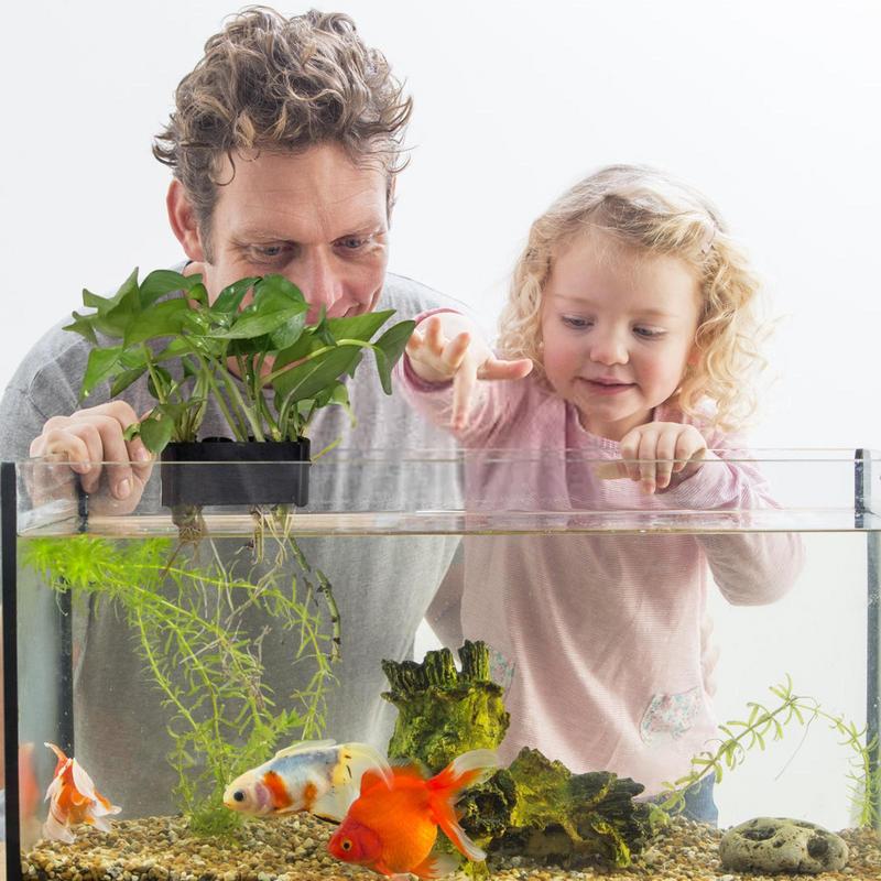 교수형 수족관 공장 홀더 수생 식물 냄비가있는 수족관  - Emersed Plants Aquarium 리뷰 및 가격