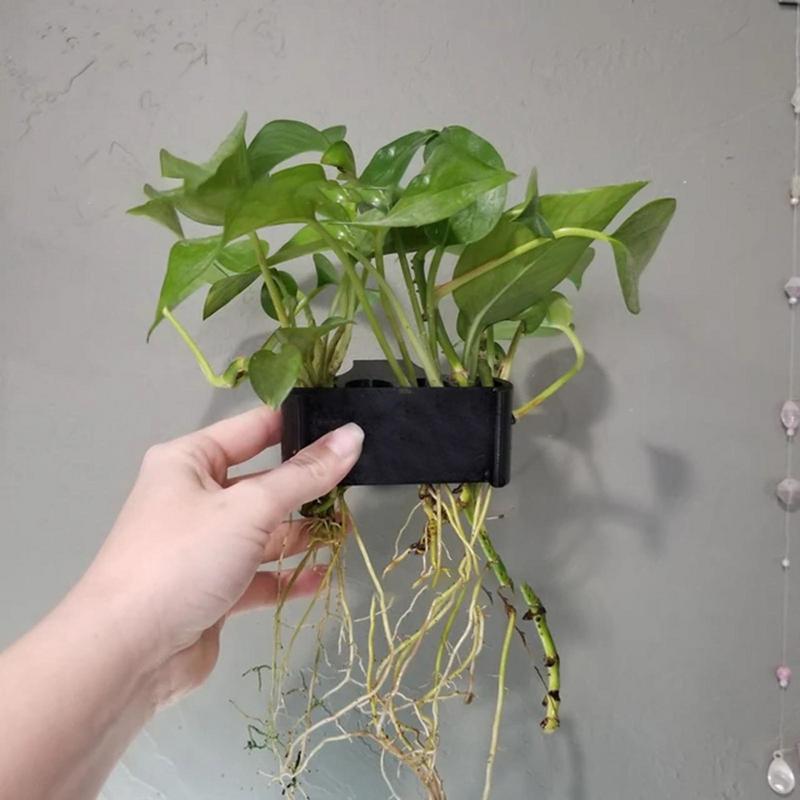 교수형 수족관 공장 홀더 수생 식물 냄비가있는 수족관  - Emersed Plants Aquarium 리뷰 및 가격