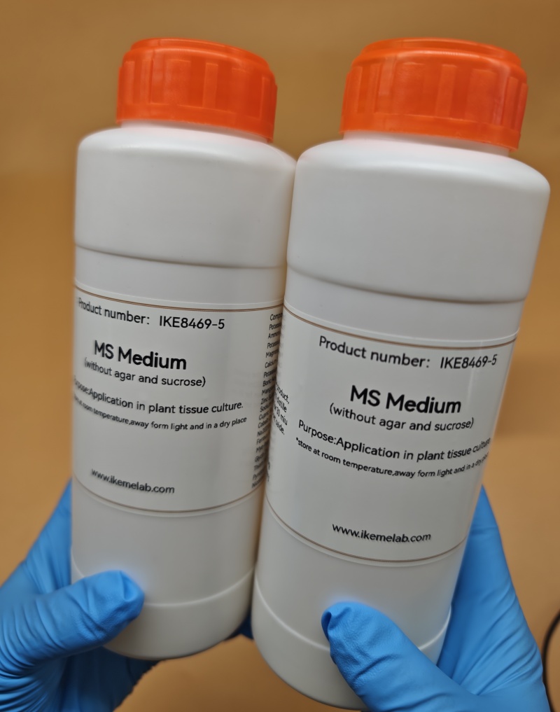 IKEME 한천 및 설탕이 없는 실험실 MS 배지, 식 - Tissue Culture Plant 리뷰 및 가격