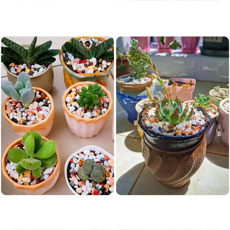 5mm 천연 수족관 모래 200g-800g 물고기 탱크 - Aquarium Planted Tank Substrate 리뷰 및 가격
