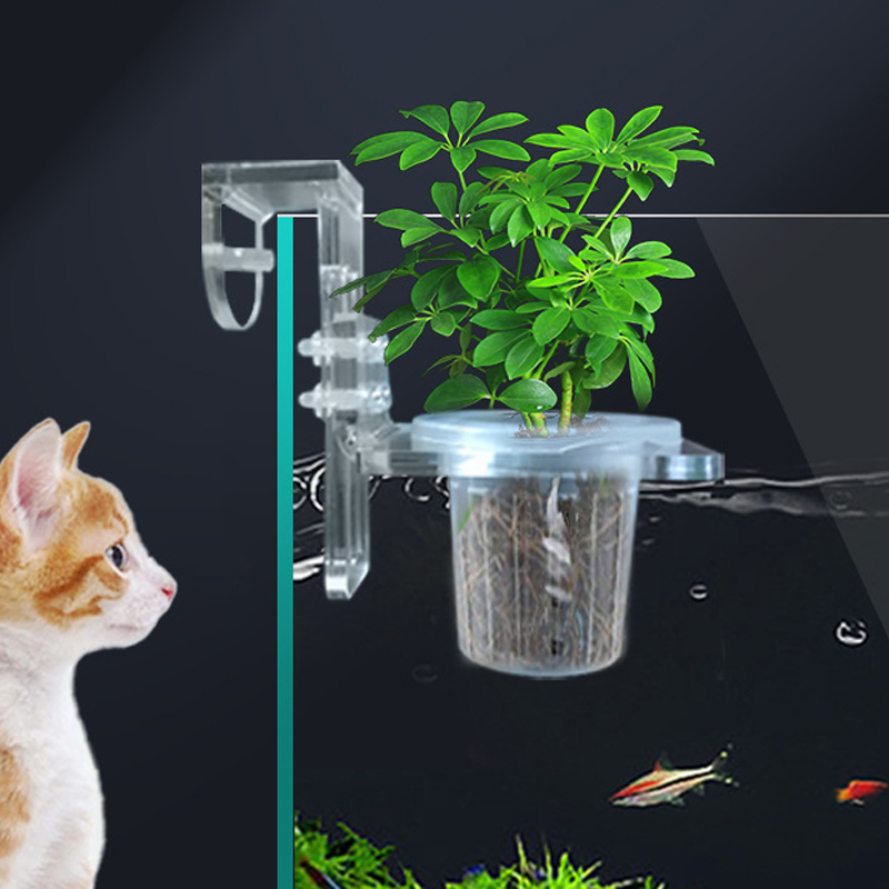 물고기 탱크 심기 컵 수경 지원 바구니 물 잔디 수생  - Aquarium Plant Holder 리뷰 및 가격