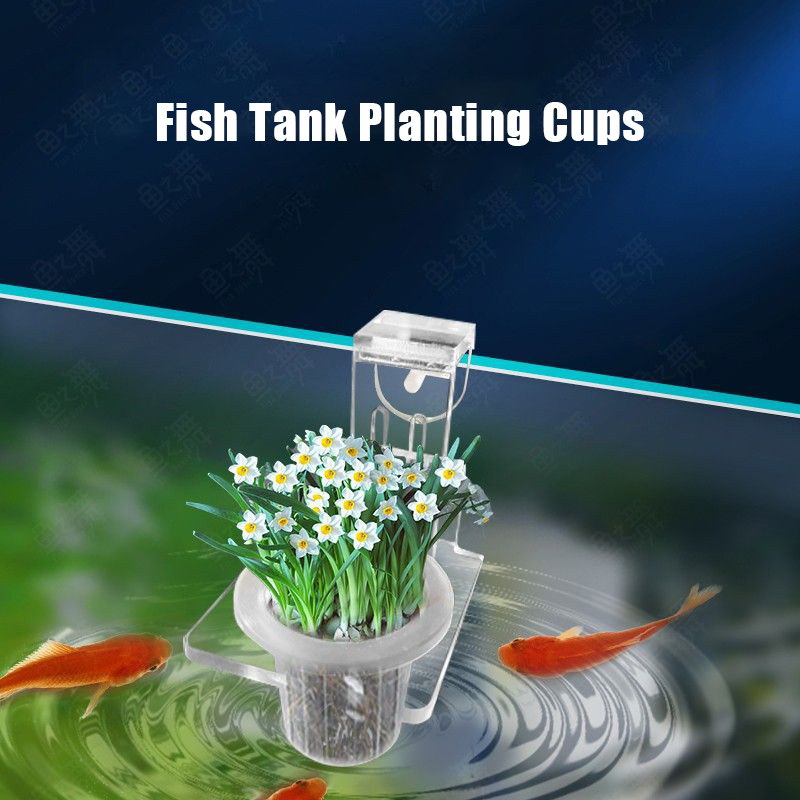 물고기 탱크 심기 컵 수경 지원 바구니 물 잔디 수생  - Aquarium Plant Holder 리뷰 및 가격