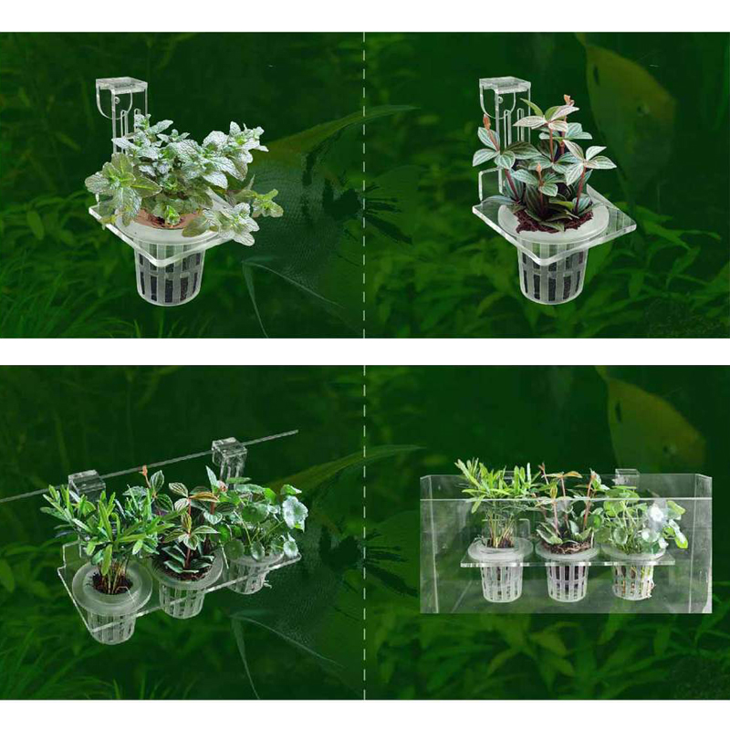 물고기 탱크 심기 컵 수경 지원 바구니 물 잔디 수생  - Aquarium Plant Holder 리뷰 및 가격