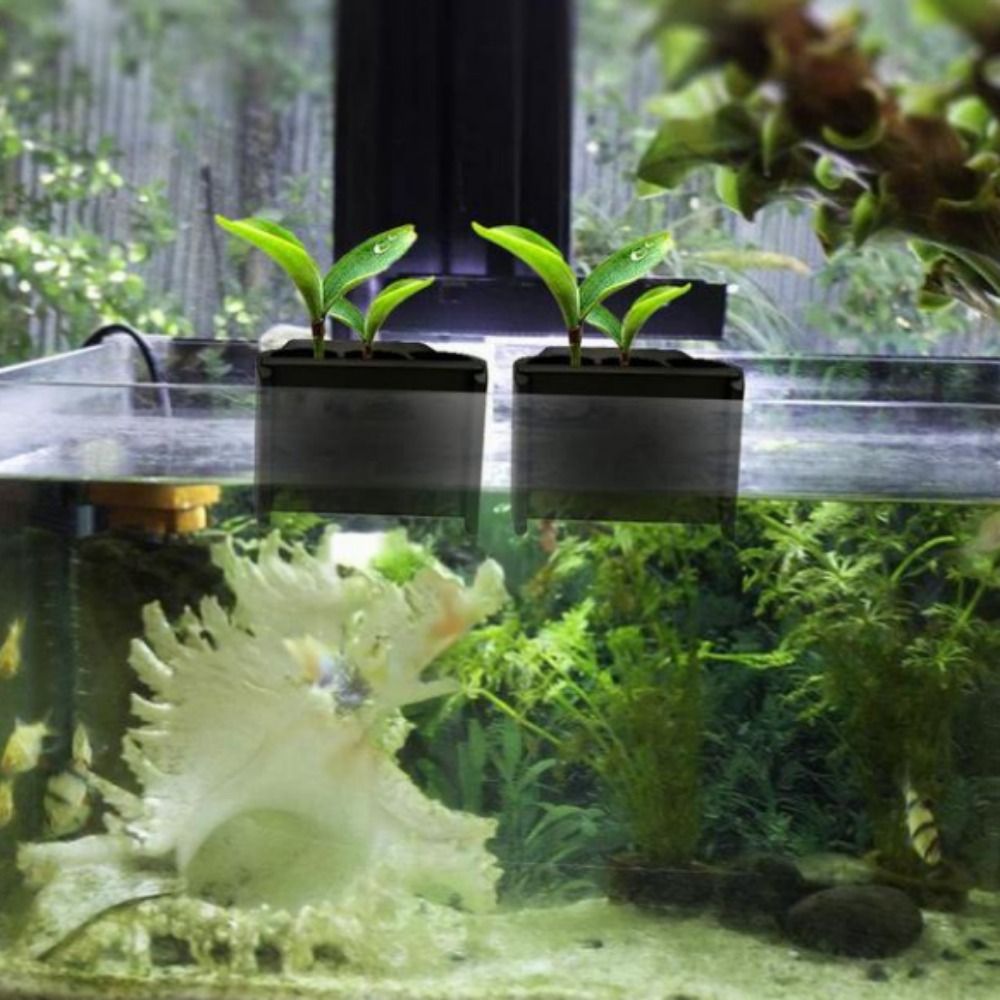통합형 후크가 있는 수족관 플랜터 플라스틱 걸이식 수생 - Emersed Plants Aquarium 리뷰 및 가격
