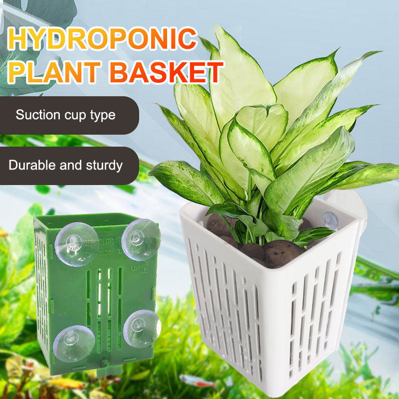 행잉 흡입 컵 후크 수족관 식물 거치대 플라스틱 수족관 - Aquarium Plant Holder 리뷰 및 가격