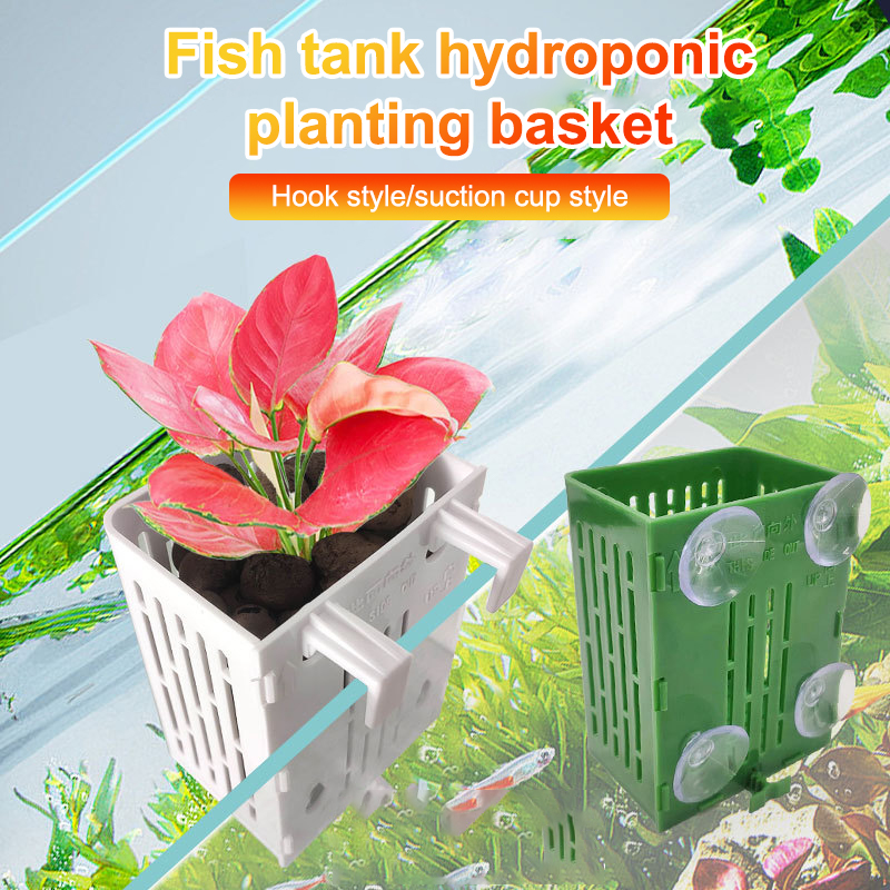 행잉 흡입 컵 후크 수족관 식물 거치대 플라스틱 수족관 - Aquarium Plant Holder 리뷰 및 가격