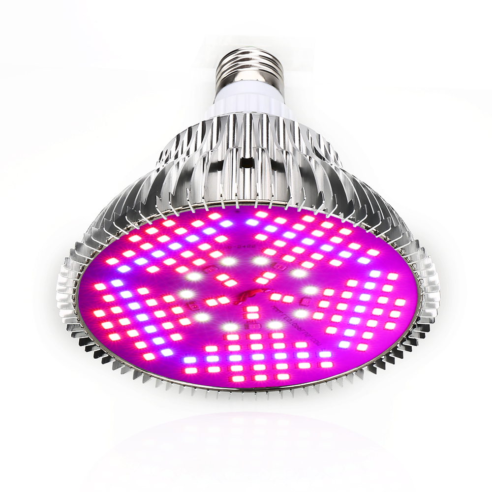 100W 전체 스펙트럼 LED 성장 빛 150Led 식 - Aquarium Plant Seeds 리뷰 및 가격