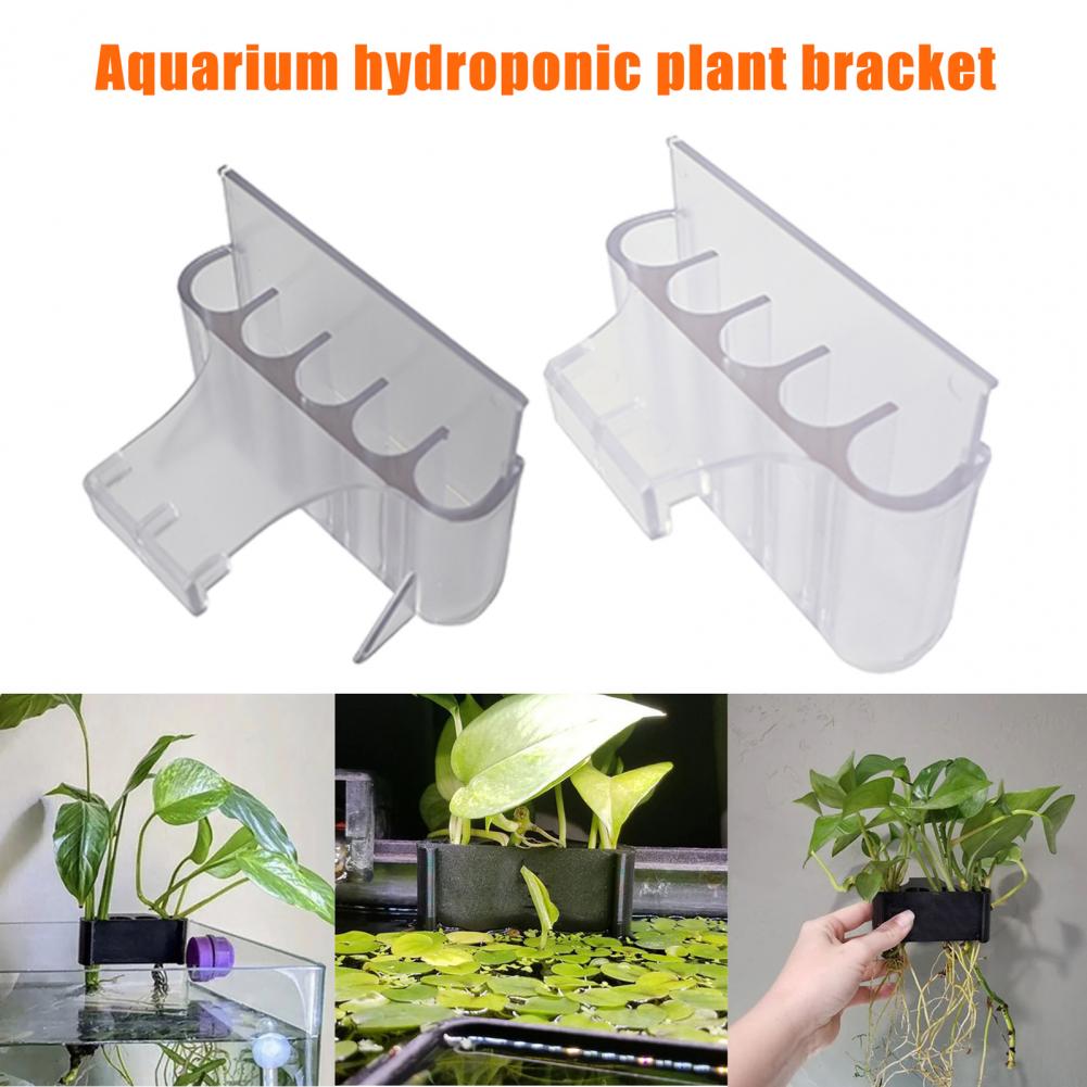 4.5/6.5cm 수족관 식물 홀더 물고기 탱크 식물  - Aquarium Plant Holder 리뷰 및 가격