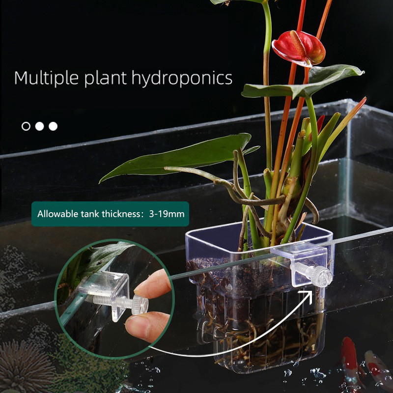 수족관 수경 식물 바구니 하이 퀄리티, ABS 수경 복 - Aquarium Plant Seeds 리뷰 및 가격
