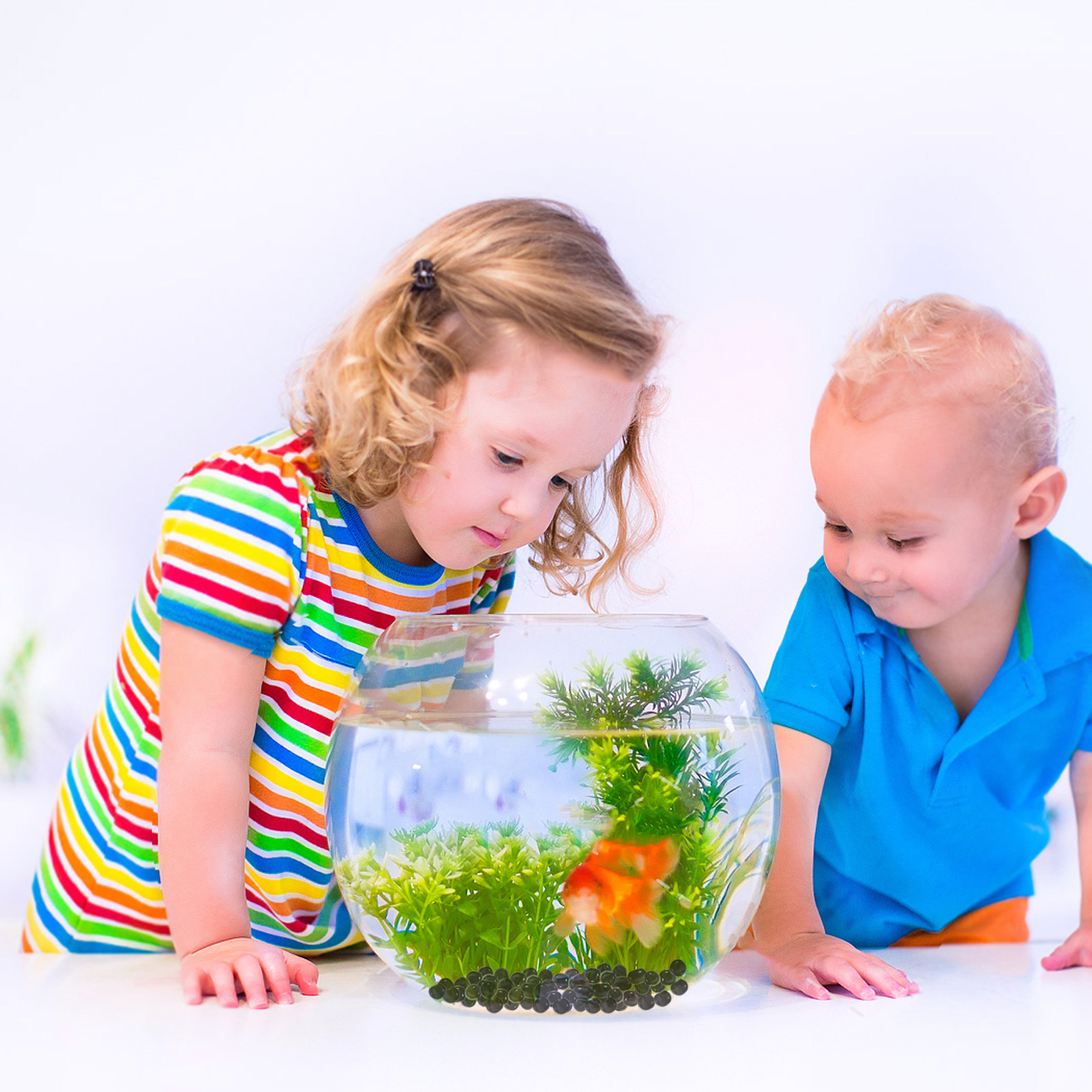 1팩 수족관 유리 구슬 검정 자갈 장식용 어항 자갈 돌 - Aquarium Planted Tank Soil 리뷰 및 가격