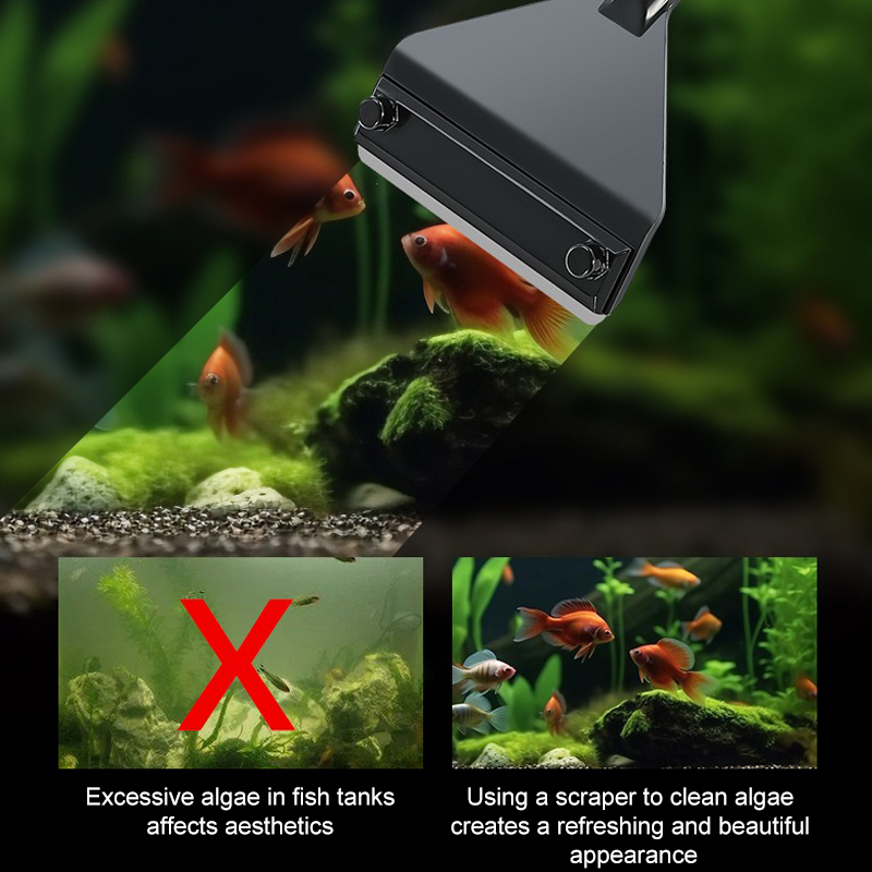수족관 조류 제거제 알루미늄 합금 스테인레스 스틸 스크 - Planted Aquarium Algae Remover 리뷰 및 가격