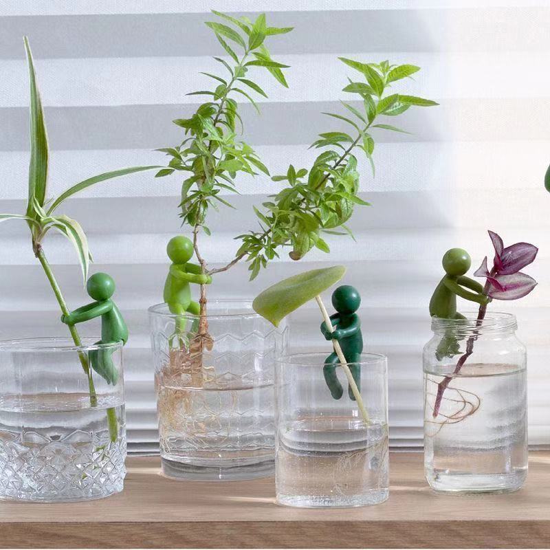 수경 재배 식물 고정 장식품 직립 식물 지지대 장식 사 - Tissue Culture Plant 리뷰 및 가격