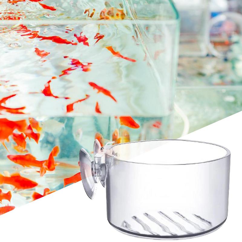 빨판이 달린 수족관 식물 화분 유리 실린더 컵, 수생  - Aquarium Plant Seeds 리뷰 및 가격