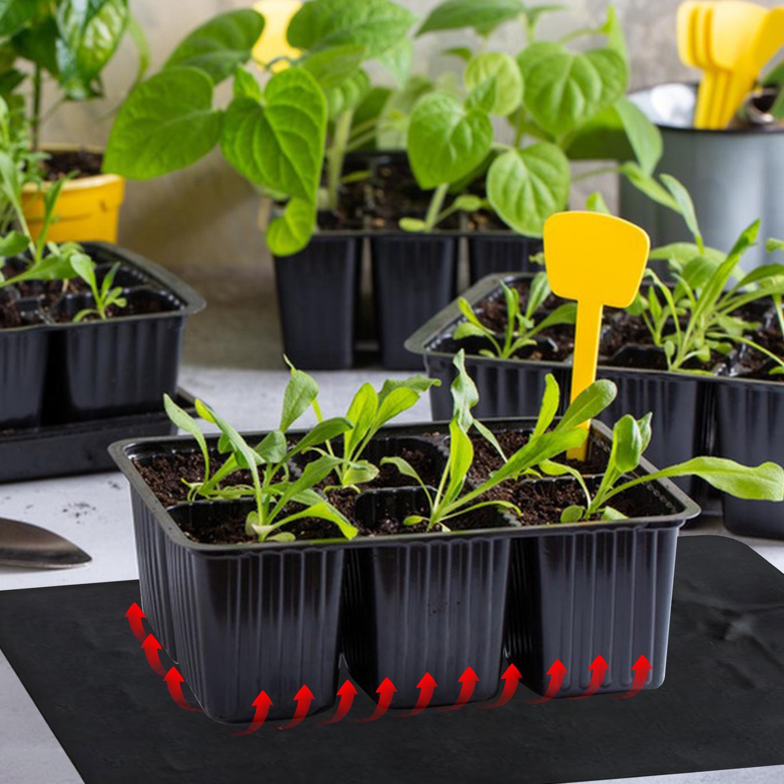 8.5W USB 묘목 열매트 3단계 온도 조절 식물 묘 - Tissue Culture Plant 리뷰 및 가격