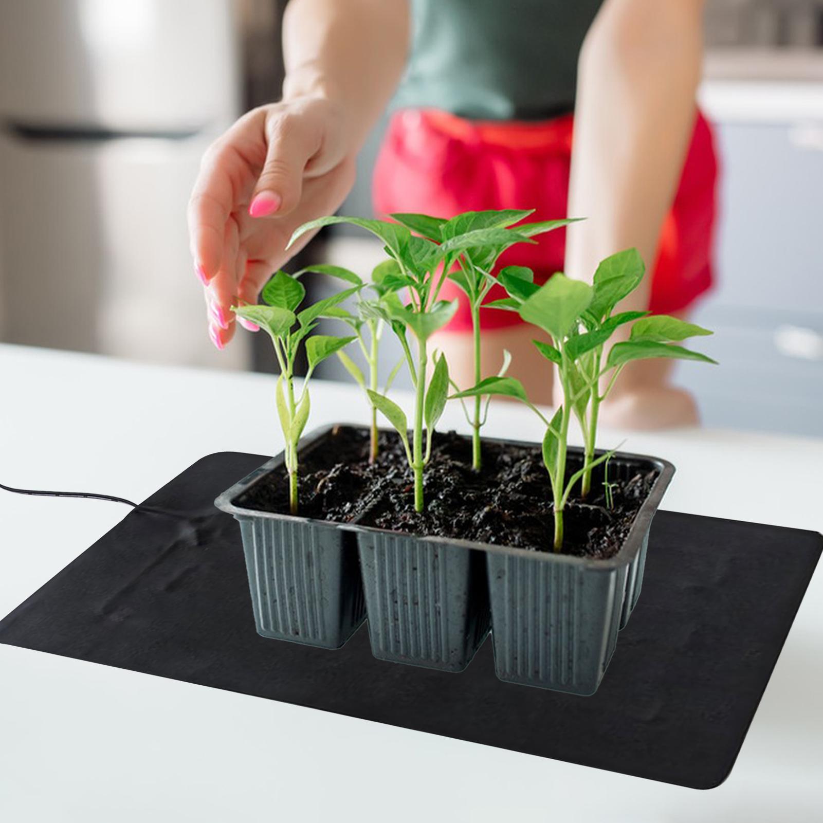 8.5W USB 묘목 열매트 3단계 온도 조절 식물 묘 - Tissue Culture Plant 리뷰 및 가격