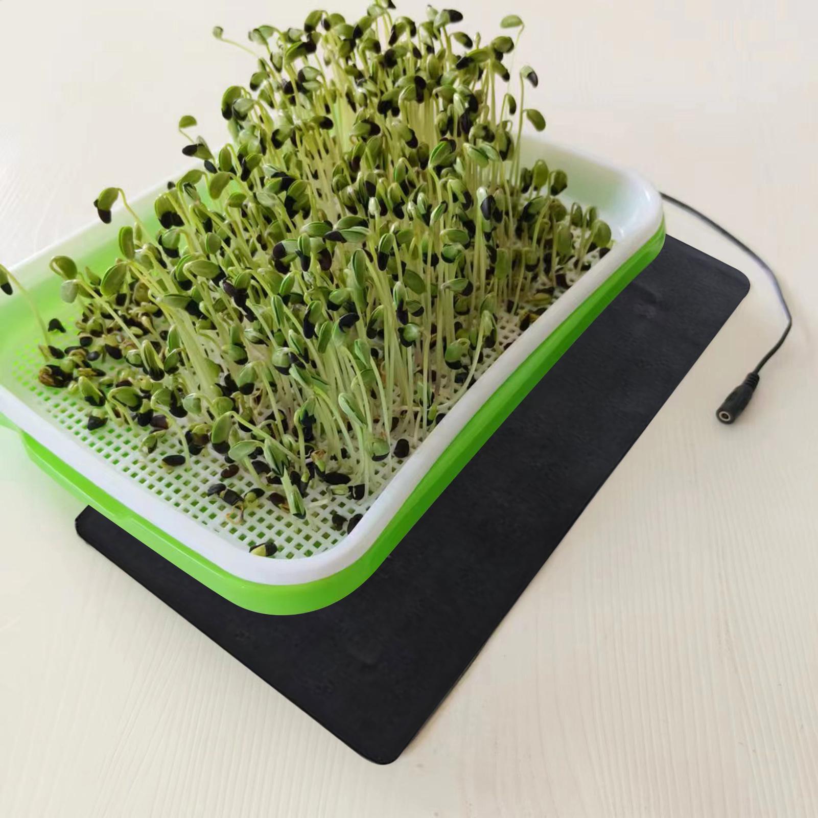 8.5W USB 묘목 열매트 3단계 온도 조절 식물 묘 - Tissue Culture Plant 리뷰 및 가격