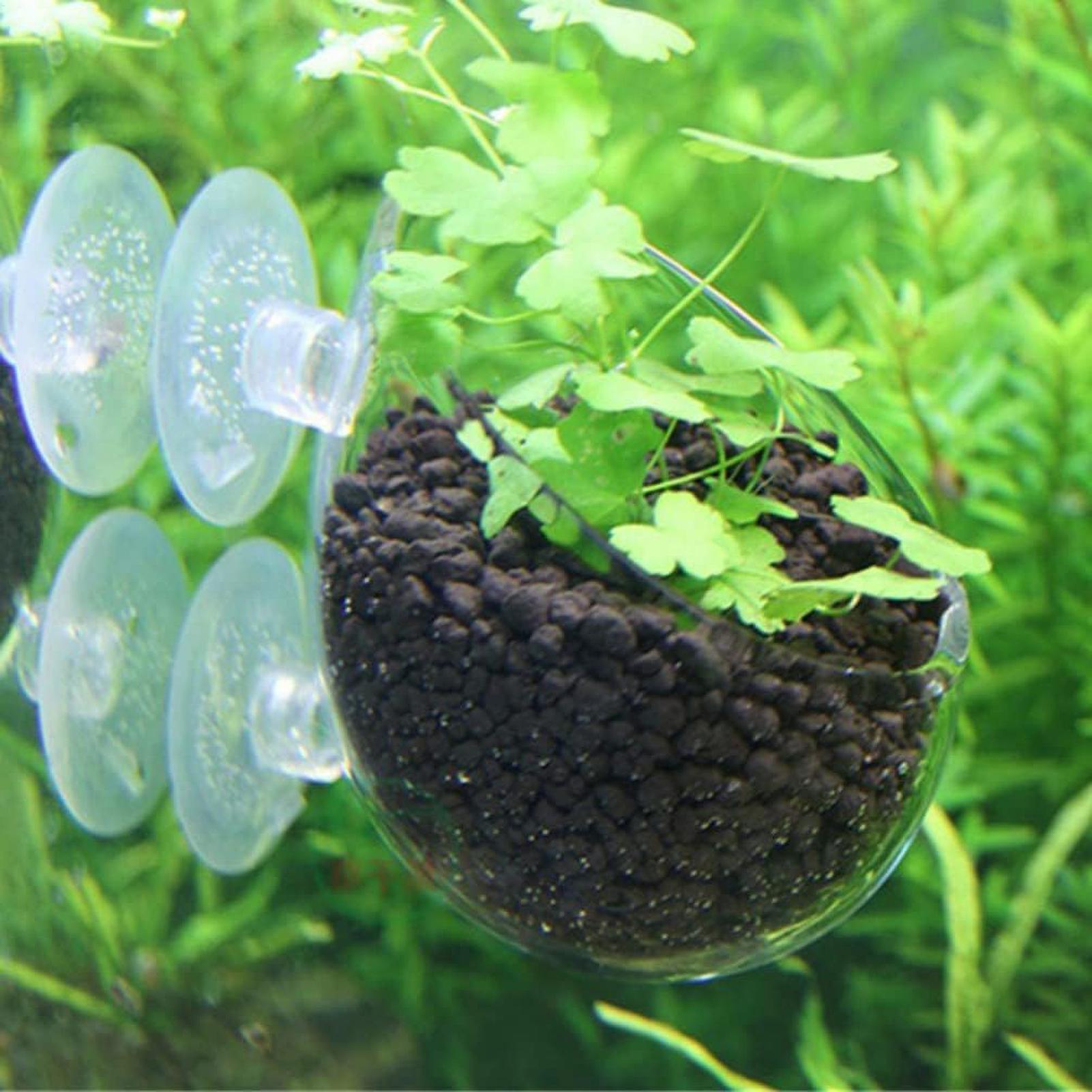 수족관 유리 화분 흡착판 포함 생물 수초 어항 홀더 수 - Aquarium Planted Tank Substrate 리뷰 및 가격