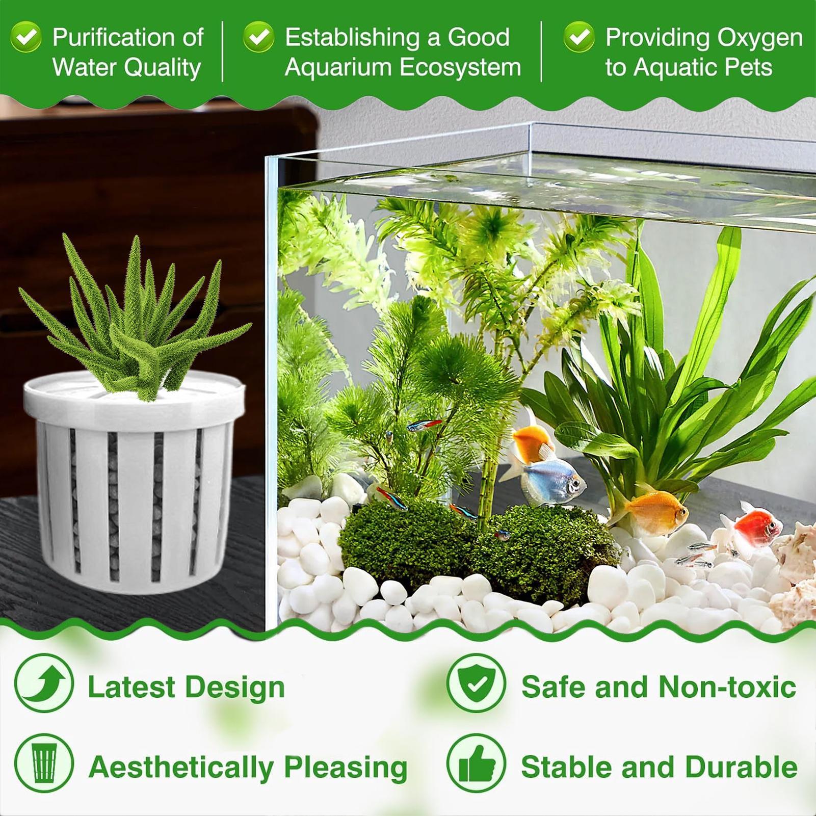 4개의 수족관 화분, 스펀지 흡착판 포함, 바닥으로 자 - Aquarium Plant Holder 리뷰 및 가격
