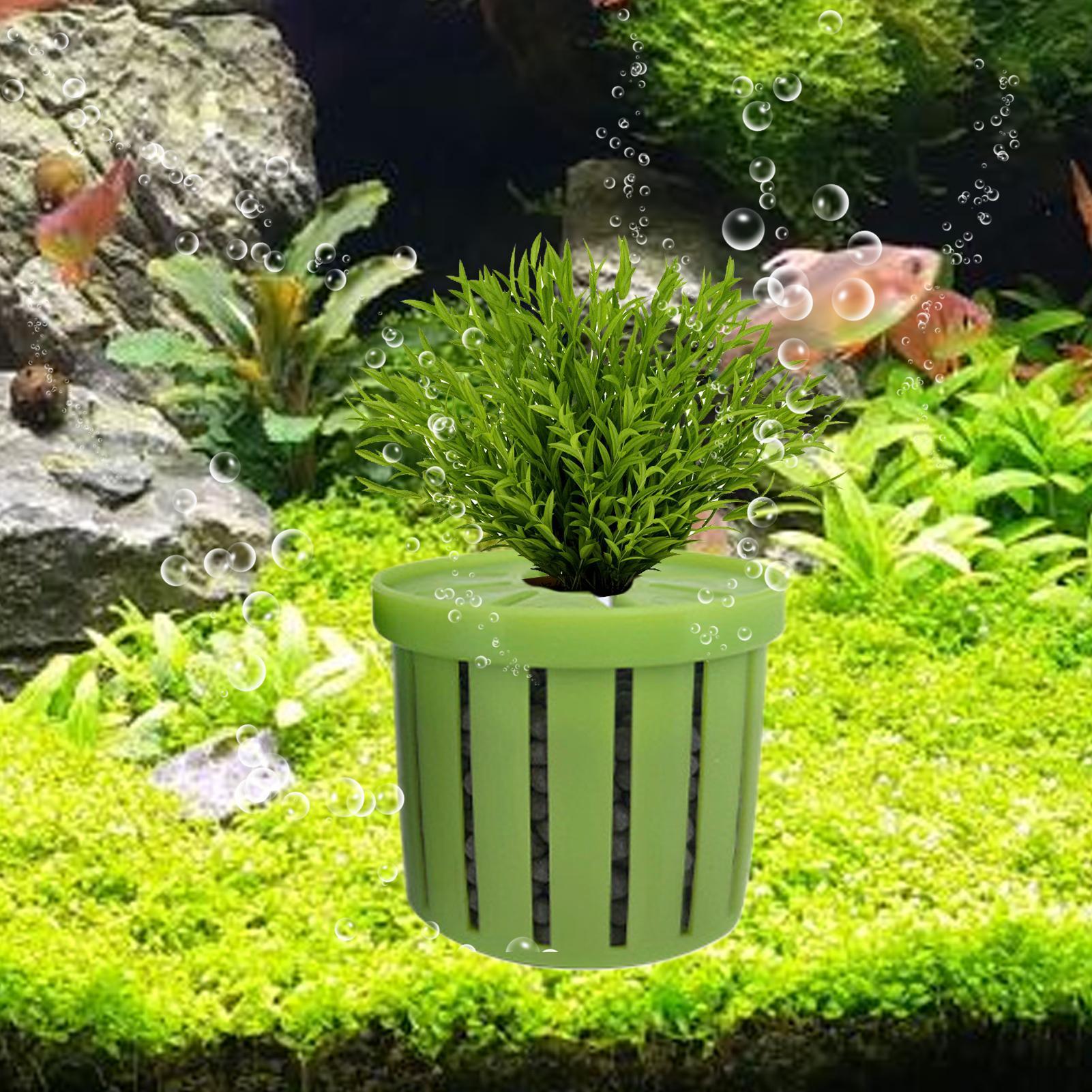 4개의 수족관 화분, 스펀지 흡착판 포함, 바닥으로 자 - Aquarium Plant Holder 리뷰 및 가격