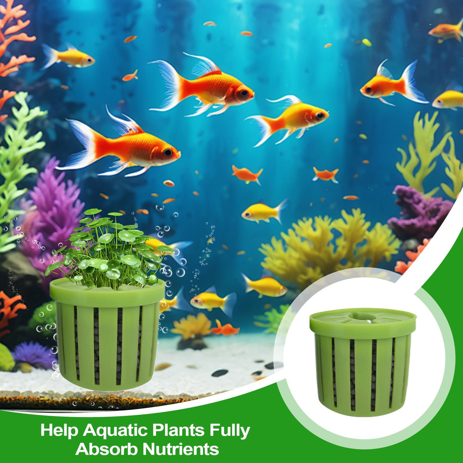 4개의 수족관 화분, 스펀지 흡착판 포함, 바닥으로 자 - Aquarium Plant Holder 리뷰 및 가격