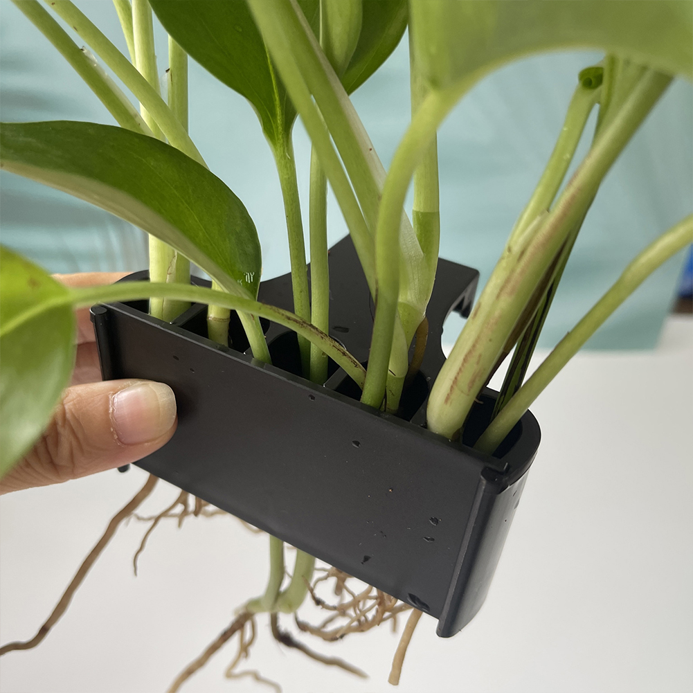 구멍이 있는 행잉 수족관 식물 거치대, 수생 식물 화분 - Emersed Plants Aquarium 리뷰 및 가격