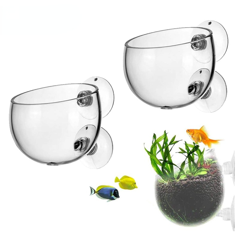 신형 수족관 식물 화분 유리 실린더 컵 흡착기 포함 수 - Aquarium Plant Seeds 리뷰 및 가격