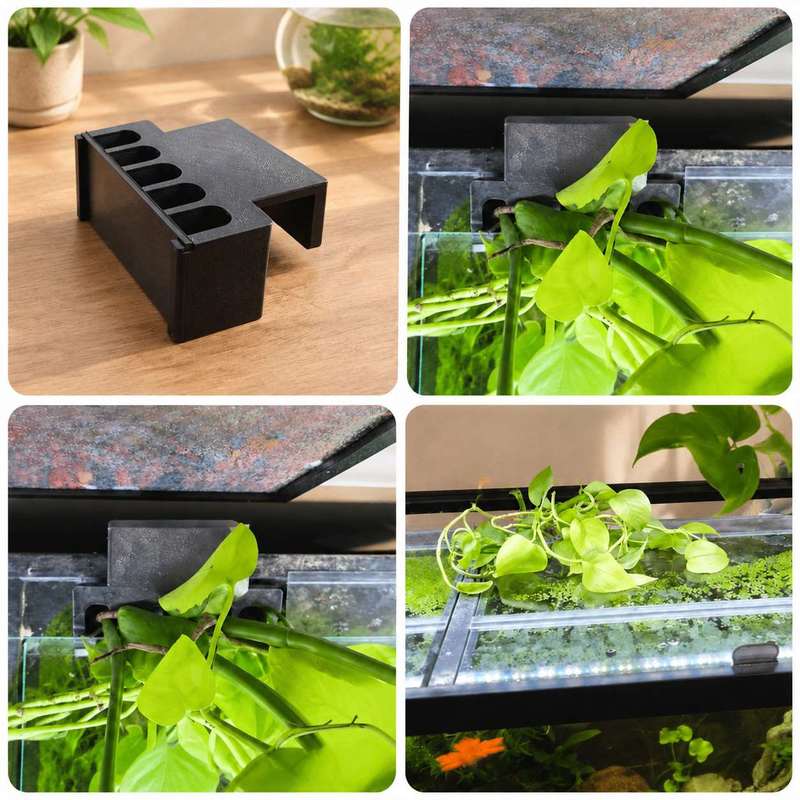 어항 측면 식물 거치대 수경재배 홀더 장식 랙 - Aquarium Plant Holder 리뷰 및 가격