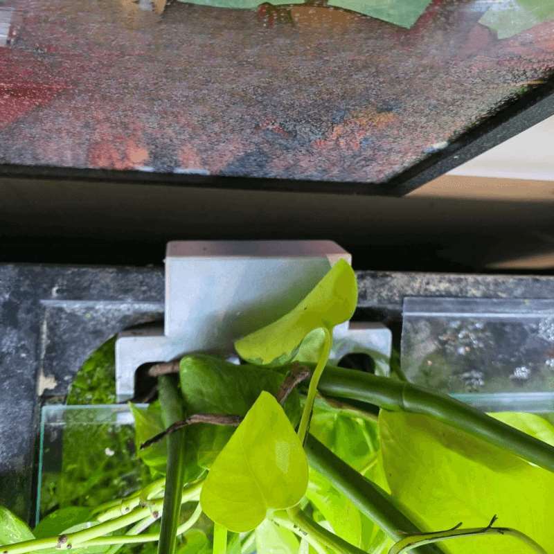 어항 측면 식물 거치대 수경재배 홀더 장식 랙 - Aquarium Plant Holder 리뷰 및 가격